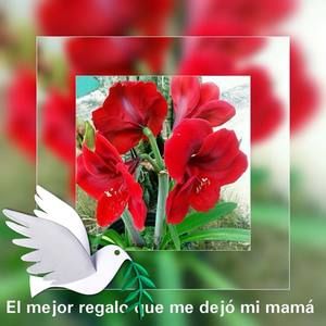 Meet your Posher, Gladys